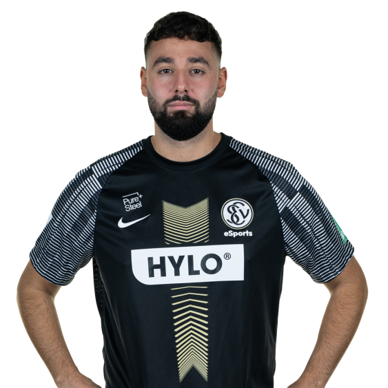 xCescoo Virtual Bundesliga