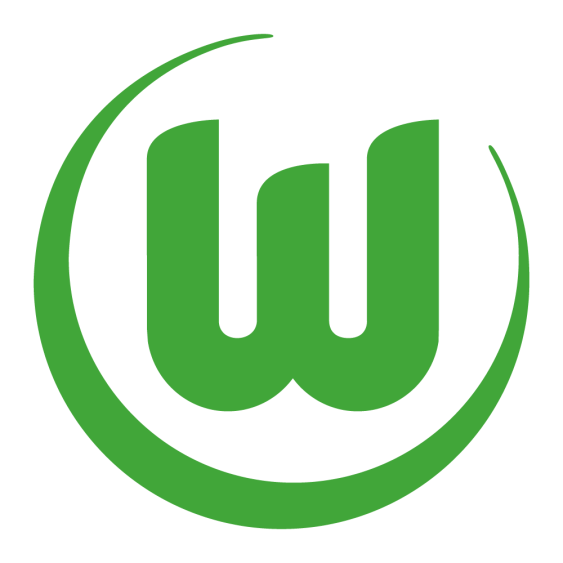 Virtual Bundesliga - Deutsche Meisterschaft 2024/2025
