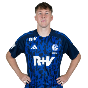 All players of the Virtual Bundesliga | Virtual Bundesliga